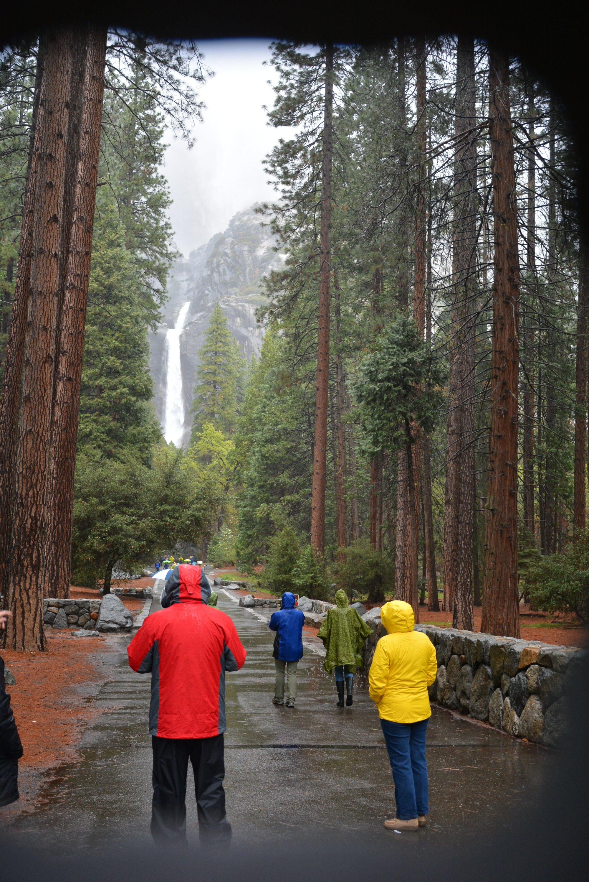 Dale and Donna enjoy the (wet) view